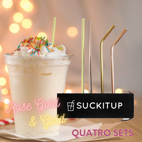 QUATRO GIFT SETS - 4 Straws a Cleaning Brush and Bag