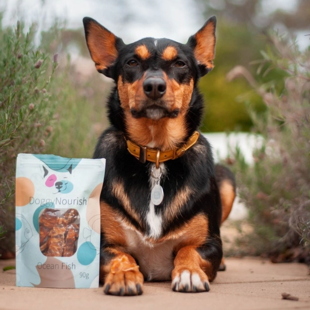 Dehydrated fish dog sales treats