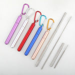 3n1 Telescopic Straws with Case and Telescopic Cleaning Brush